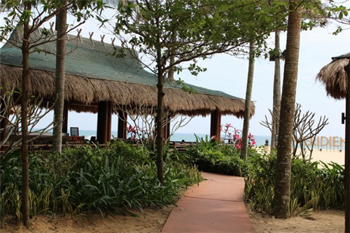 年轻的鸡即鲍汁焖鸡