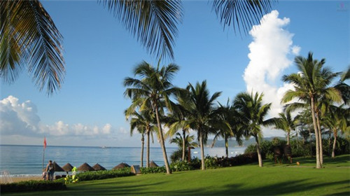 鱼禾岸日式料理