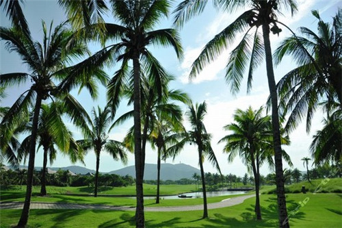 谷膳闽味台湾卤肉饭加盟开店资金不够应该怎么办