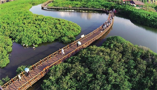 小丸子食品店铺，小丸子怎么加盟费