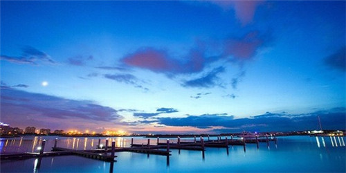 老八吃的十大美食是什么（老八吃美食合集）