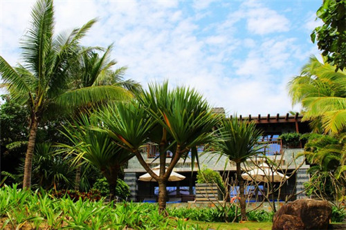 英语名和姓怎么起名字好（英语名字和姓氏）