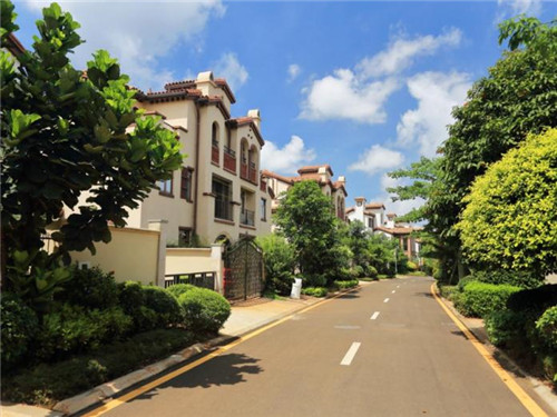 听什么歌能感觉心脏跳的快（听什么歌对心脏好）