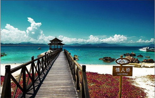 创业策划海报宠物店怎么做